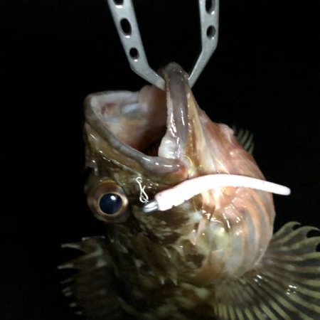 二見ガシリング1