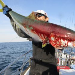 ジギング船 BLUEWATER 釣果