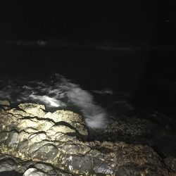 南ウネリに苦しみながらなんとか１杯