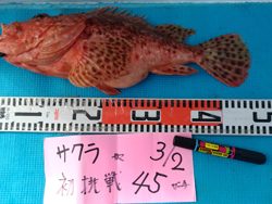 3/2　潮動かず風無しも大型連続浮上↑↑↑w(*ﾟoﾟ*)w