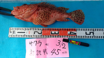 3/2　潮動かず風無しも大型連続浮上↑↑↑w(*ﾟoﾟ*)w