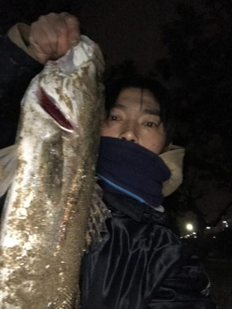 久しぶりにいいシーバス