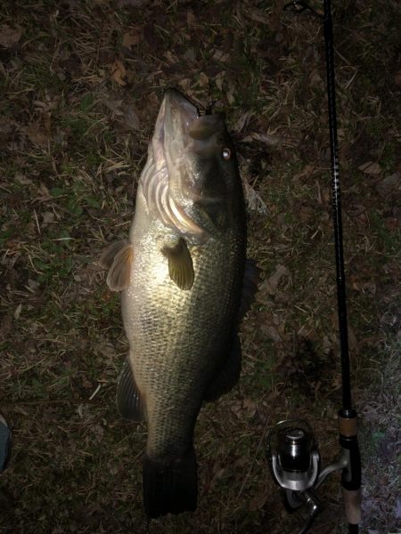 今シーズン初バス