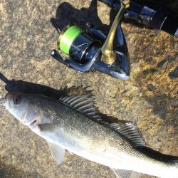 天神川河口調査