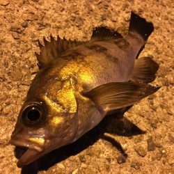 夜景をみながら