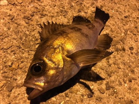 夜景をみながら