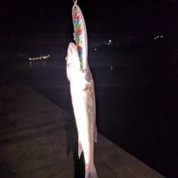 シーズン開幕！