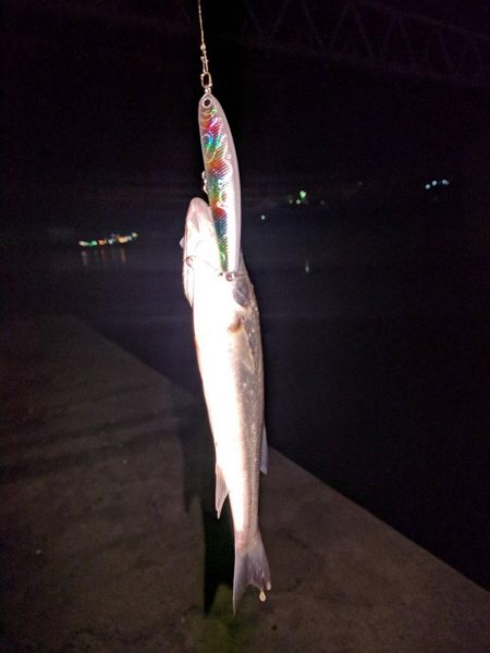 シーズン開幕！