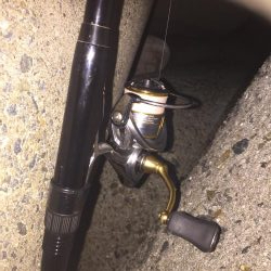 今日もメバリング!