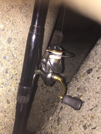 今日もメバリング!