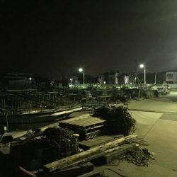 久々のメバル②