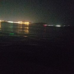 ガシラ釣り　～ポツポツ当たりが。～