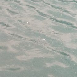 イワシ釣り　～天候急変！恐怖の体験～