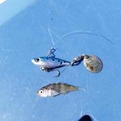 ﾏｯﾁｻﾞﾍﾞｲﾄ