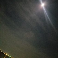 ガシラ釣り ~当たりは少ない~