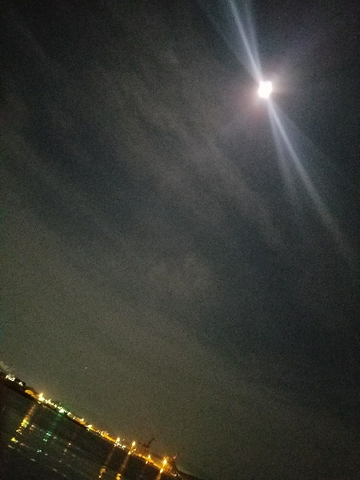 ガシラ釣り ~当たりは少ない~