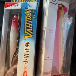 風強いヽ(￣д￣;)ノ=3=3=3