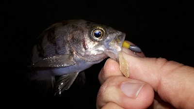 淡路島での用事を済ませて後・・・