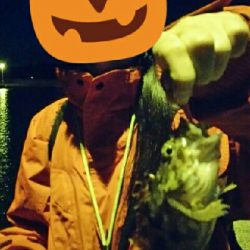 カサゴとタケノコメバル