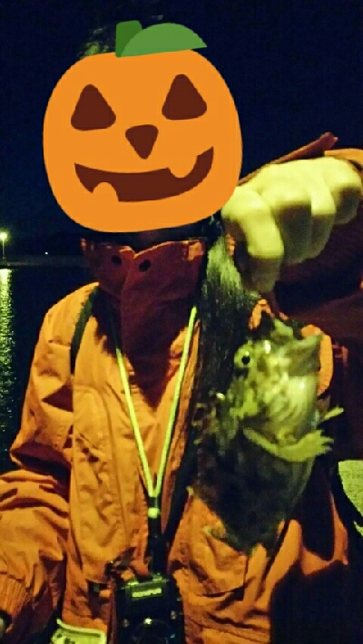 カサゴとタケノコメバル