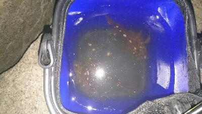 雨上がり寒い❗