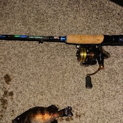 今日は厳しい。