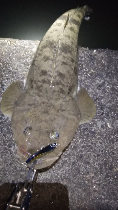 引き潮フィーバー