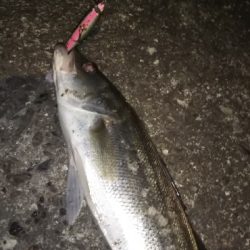 クリアウォーター