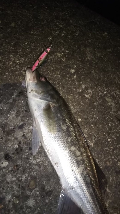 クリアウォーター