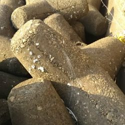 気温は高かったけど