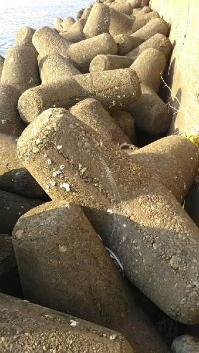 気温は高かったけど