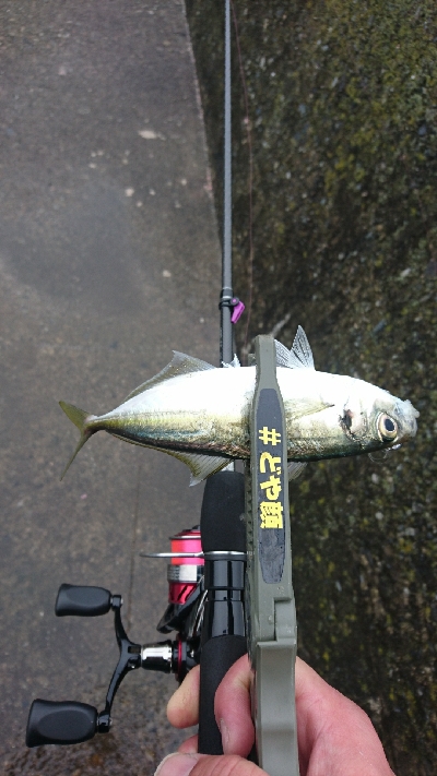 リベンジ串本２