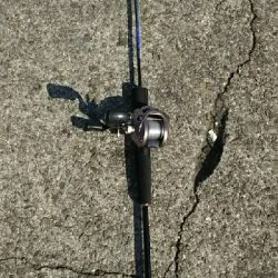 大物が釣れた！