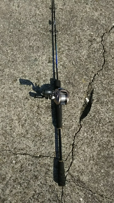 大物が釣れた！