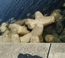 晴れてたけど寒かった