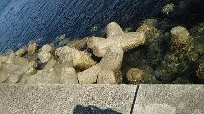 晴れてたけど寒かった