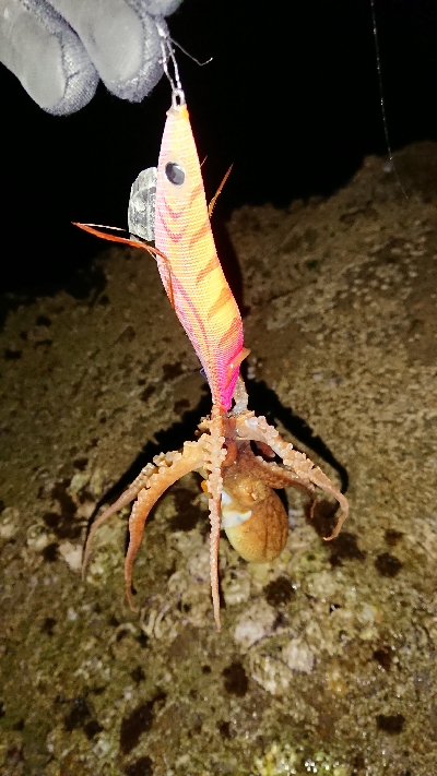 まだ早かったかな⁉þ…