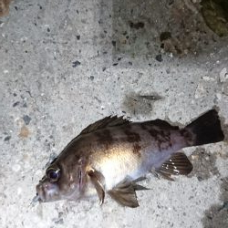 ジアイは一瞬！