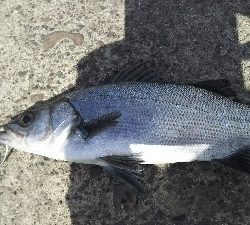 そうそううまくはいかない！