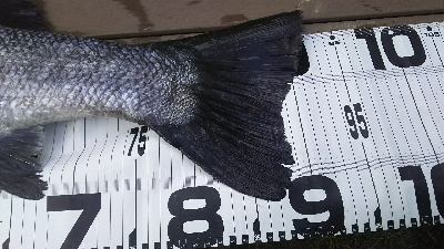 自己記録更新！！