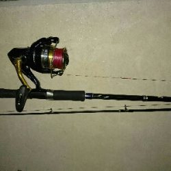 真夜中のヒラスズキ