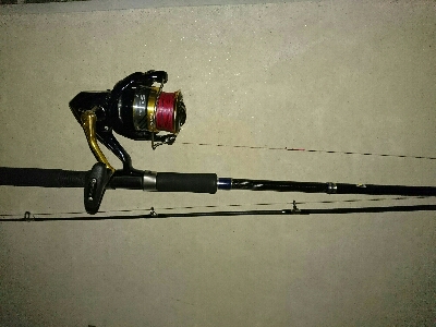 真夜中のヒラスズキ