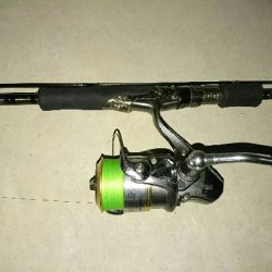 仕事終わりにタチウオ