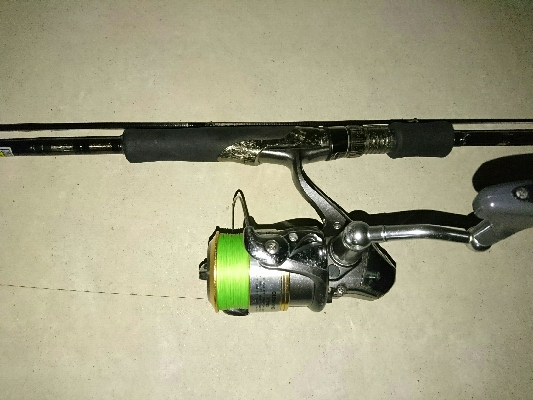 仕事終わりにタチウオ