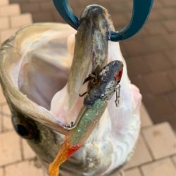 Beat the bad tide ！（悪潮をぶっとばせ）