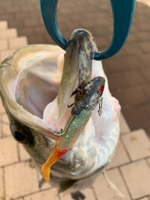 Beat the bad tide ！（悪潮をぶっとばせ）