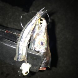 タチウオテンヤ