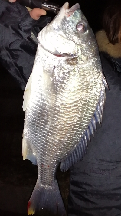 久しぶりのチニング