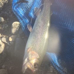 管理釣り場 芥川