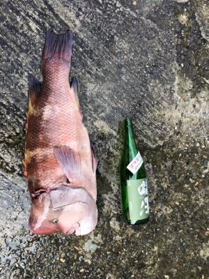 モンスター再び